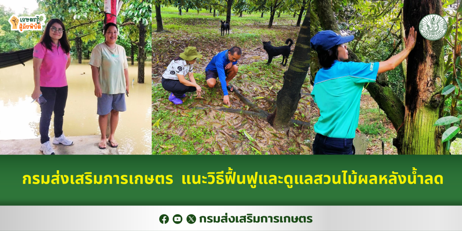 เกษตรรู้สู้ภัยพิบัติ Archives ศูนย์ข่าวกรมส่งเสริมการเกษตร